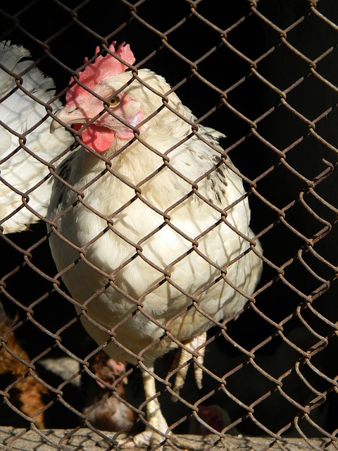 这种结合力 这种结合力