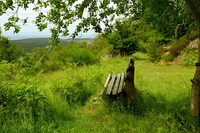 威胁对手门 威胁对手门