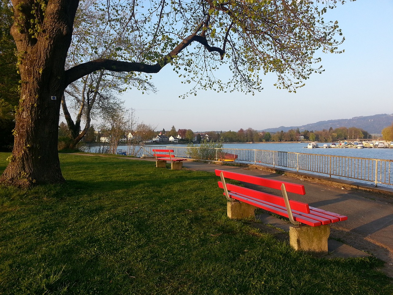 在全球舞台 在全球舞台