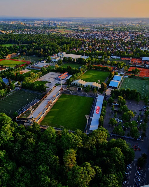 为了让数字 为了让数字