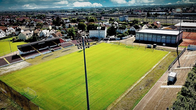 3个孩子3个妈，爱德华兹一年要付多少抚养费？或成下一个霍华德.